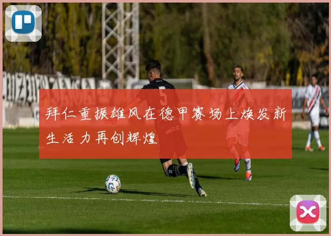 拜仁重振雄风在德甲赛场上焕发新生活力再创辉煌