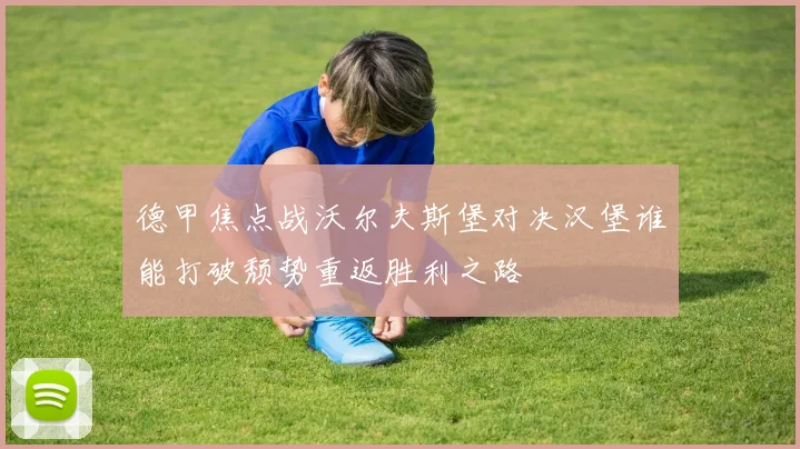 德甲焦点战沃尔夫斯堡对决汉堡谁能打破颓势重返胜利之路